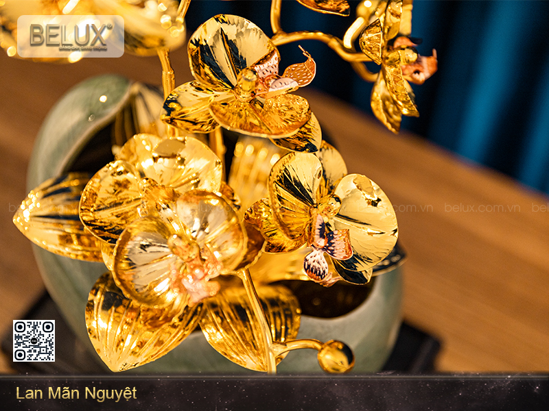Lan mãn nguyệt mạ vàng 24k&nbsp;
